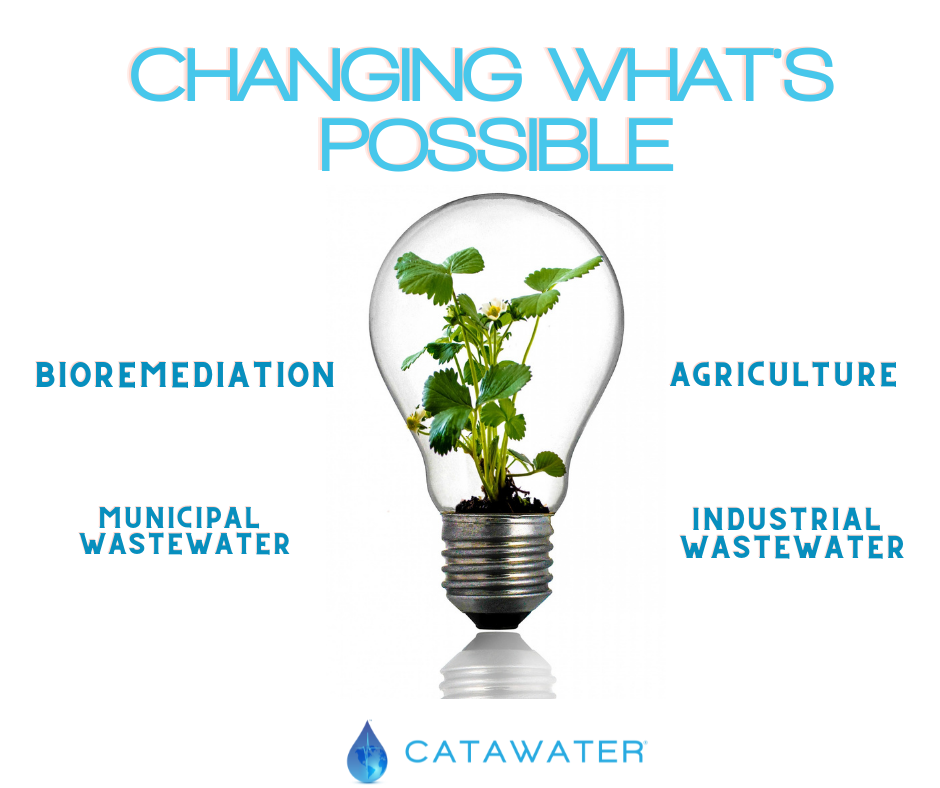 2021 was a record year for growth at Catawater® and we are excited to share what's next. Find out more at www.catawater.com.