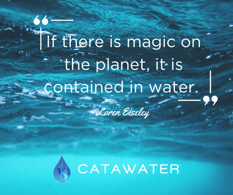 The Five W's of Catawater® - Catawater